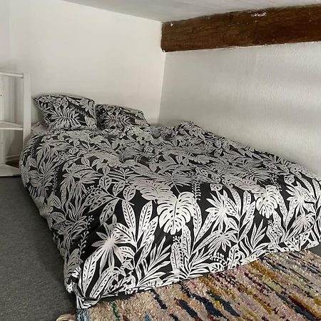 Appartement De Caractere Au Coeur Du Centre-Ville Montpellier Dış mekan fotoğraf