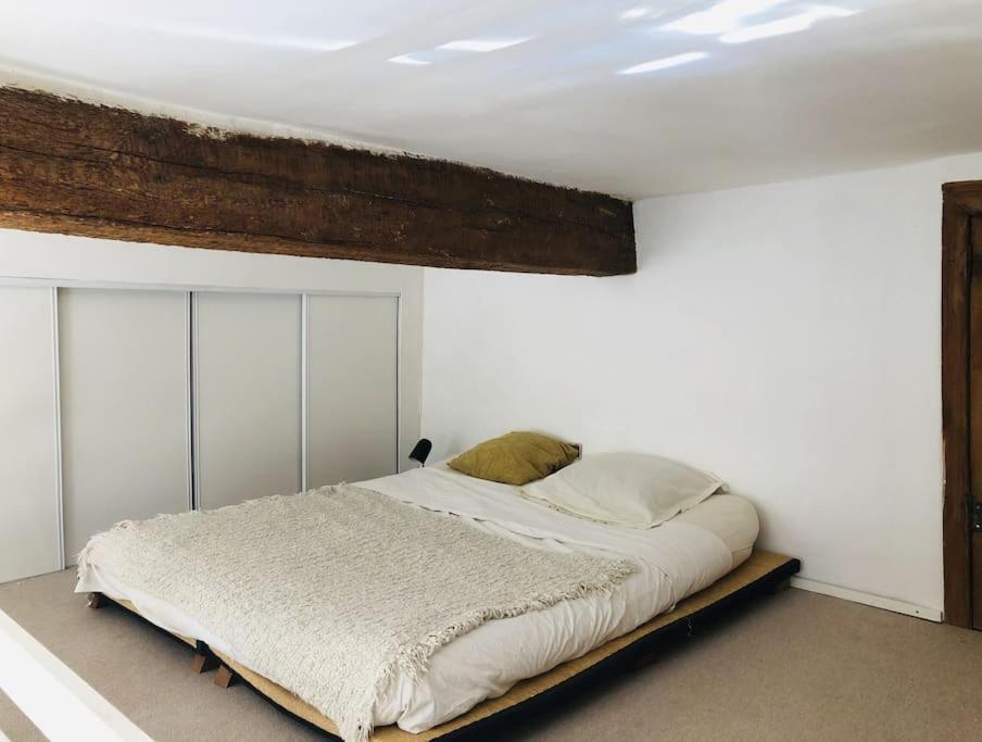 Appartement De Caractere Au Coeur Du Centre-Ville Montpellier Dış mekan fotoğraf