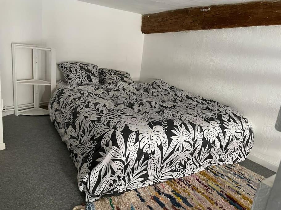 Appartement De Caractere Au Coeur Du Centre-Ville Montpellier Dış mekan fotoğraf